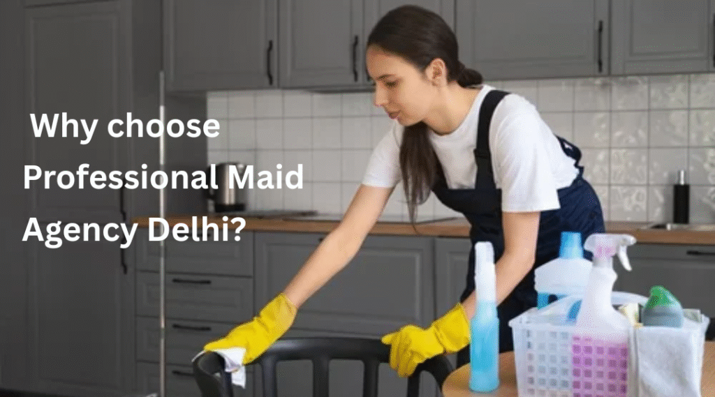  Why choose Professional Maid Agency Delhi?